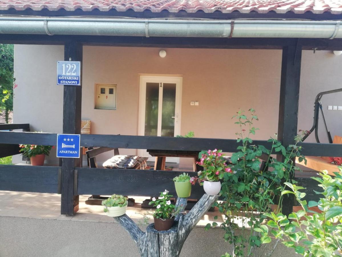 Apartman Adam ราโควิซา ภายนอก รูปภาพ