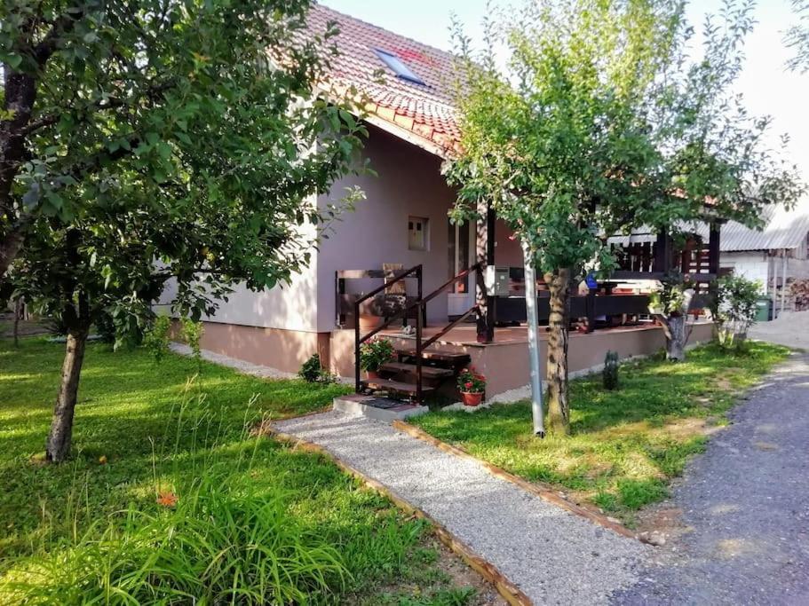 Apartman Adam ราโควิซา ภายนอก รูปภาพ