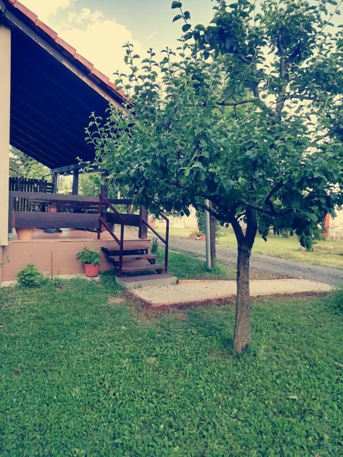 Apartman Adam ราโควิซา ภายนอก รูปภาพ